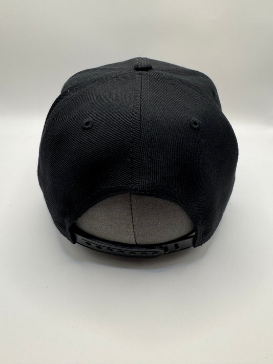 Fundamentals SnapBacks